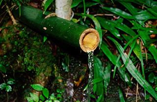 Картинка Вода для приготовления чая