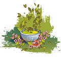 Зелёный чай (люйча)