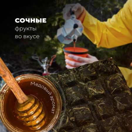 Прессованный шэн пуэр - Шэн пуэр Travel tea "Raw puerh tea", 70 г, 